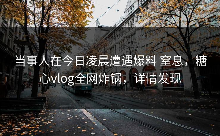 当事人在今日凌晨遭遇爆料 窒息，糖心vlog全网炸锅，详情发现