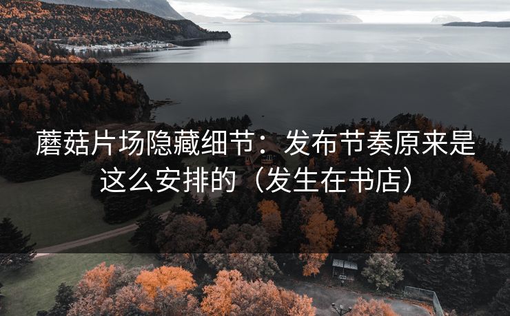 蘑菇片场隐藏细节：发布节奏原来是这么安排的（发生在书店）